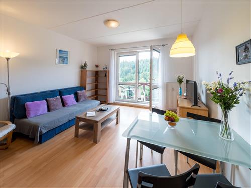 Ferielejlighed - 4 personer -  - Janské Lázne - 542 25