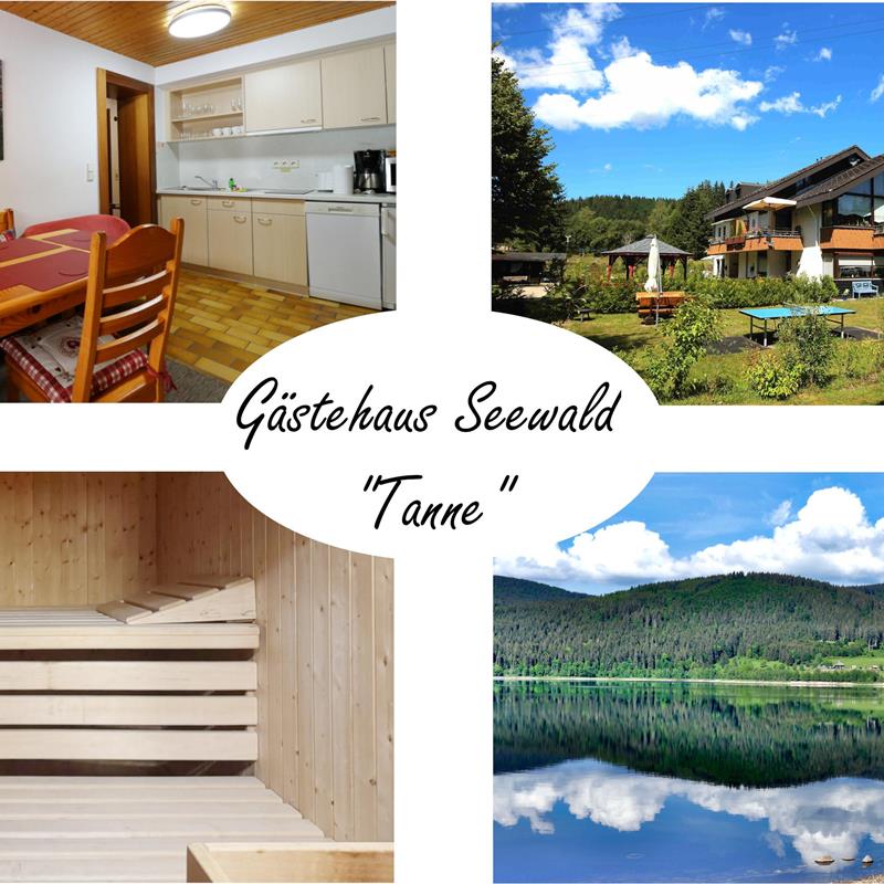 Ferielejlighed - 4 personer -  - Finkenwiese - 79859 - Schluchsee