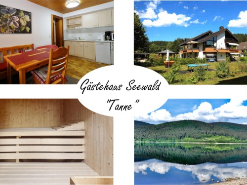 Ferieleilighet - 4 personer -  - Finkenwiese - 79859 - Schluchsee
