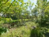 Bild 17