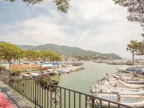 Semesterhus/Semesterlägenhet - 4 personer -  - Via Privata Tassara - Rapallo - 16035 - Rapallo (Ge)