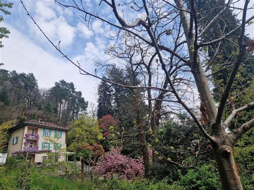 Holiday home - 8 persons -  - Locarno - 6605