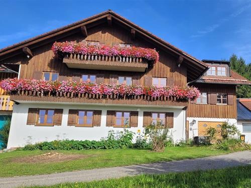 Feriehus - 12 personer -  - 87480 - Weitnau