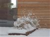 Bild 33