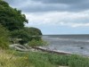 Image 6 - Outside