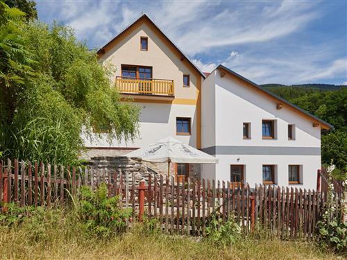 Holiday Home/Apartment - 15 persons -  - Cerny Dul - 543 44