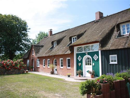 Holiday apartment - 4 persons -  - Koogstraße - 25881 - Tümlauer Koog