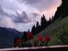 Bild 17