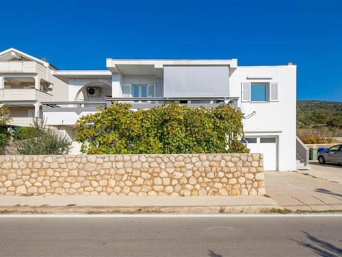 Holiday apartment - 3 persons -  - Catare - Pag - Stara Novalja - 53291 - Stara Novalja