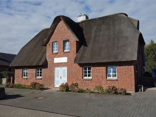 Ferienhaus - 6 Personen -  - Buurnstrat - 25938 - Oevenum