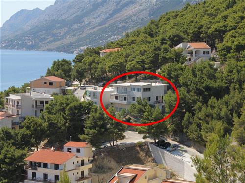 Holiday apartment - 3 persons -  - Put luke - 21322 - Brela