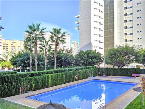 Sommerhus - 3 personer -  - Benidorm - 03570