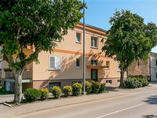 Ferienhaus - 5 Personen -  - Murve ulica - 52466 - Novigrad