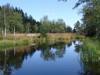 Bild 36