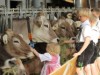 Billede 24