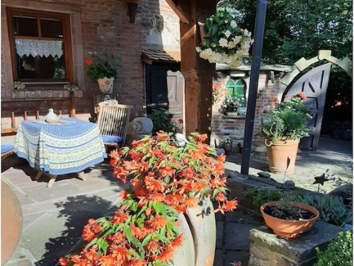 Sommerhus - 3 personer -  - 27612 - Loxstedt- Büttel