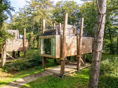 Ferienhaus - 4 Personen -  - 7640 - Antoing