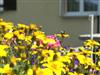 Image 5 - Outside