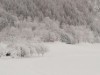 Bilde 22