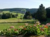 Bilde 4