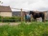 Bild 31