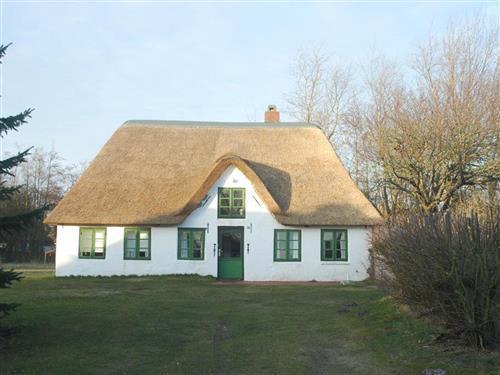 Sommerhus - 4 personer -  - Waldstrasse - 25826 - St. Peter-Ording