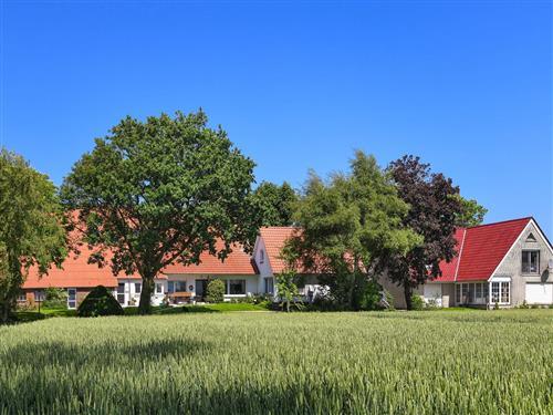 Bondegård - 6 personer -  - Erichswarfen - 26409 - Wittmund