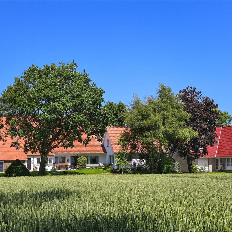 Bondegård - 6 personer -  - Erichswarfen - 26409 - Wittmund