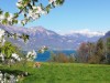 Bild 20 - Ude