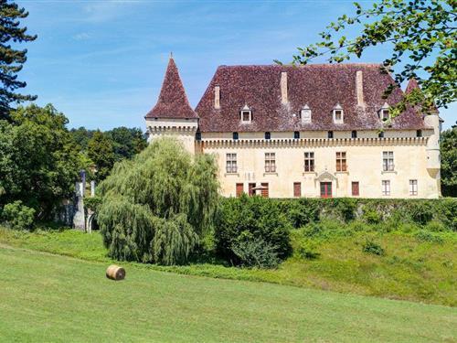 Sommerhus - 12 personer -  - Château Gaubertie - Saint Martin Des Combes - 24140 - St Martin Des Combes
