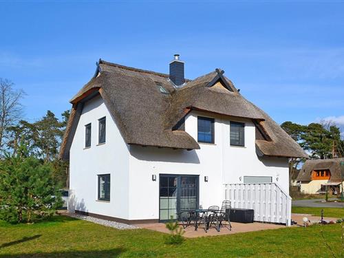 Feriehus - 4 personer -  - 17419 - Zirchow