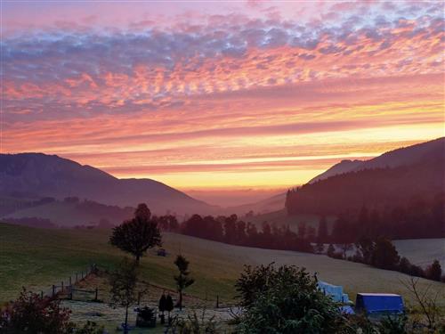 Holiday apartment - 6 persons -  - Gänsbrunnen - 4716