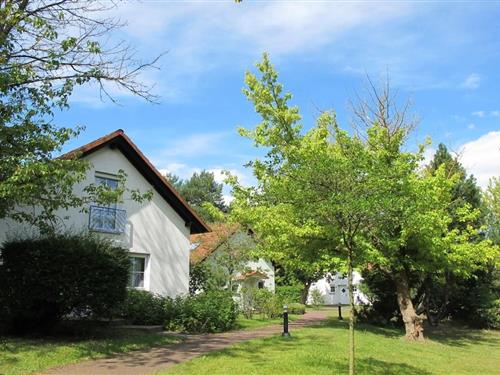 Sommerhus - 7 personer -  - 17213 - Fünfseen Ot Lenz