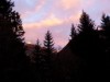 Bild 71