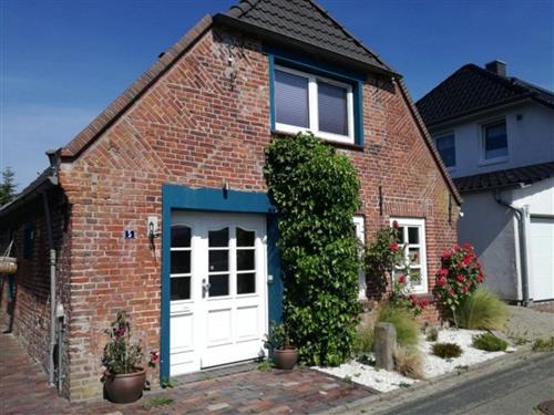 Ferieleilighet - 3 personer -  - Blumenstr. - 26969 - Butjadingen / Burhave