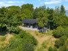 Billede 23 - Grund