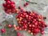 Bild 83 - Innen
