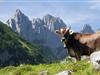 Bild 23