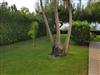 Bild 41