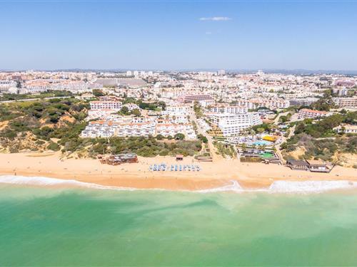 Semesterhus/Semesterlägenhet - 3 personer -  - 8200-325 - Albufeira