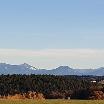 Billede 4