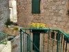 Bilde 5