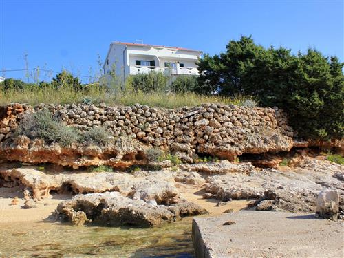 Ferieleilighet - 3 personer -  - Kaštel 3, Stara Novalja - 53291 - Novalja