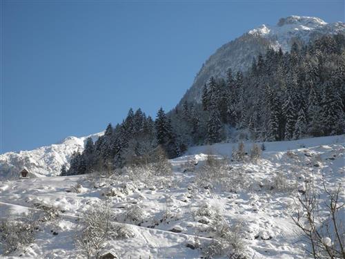 Ferienhaus - 4 Personen -  - Oberweißbach - 5093 - Weißbach Bei Lofer