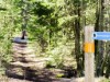 Bilde 7 - Inne