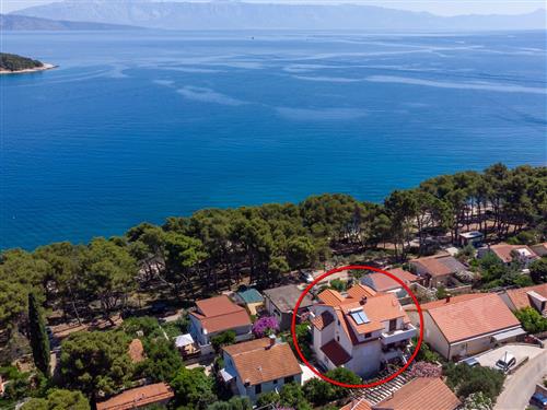 Ferieleilighet - 2 personer -  - Vitarnja - 21465 - Jelsa