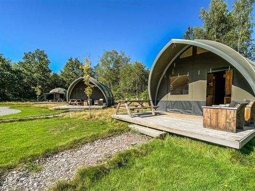 Mobilheim - 6 Personen -  - Bosweg - 9423 TA - Hoogersmilde