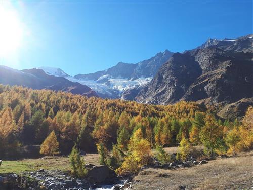 Holiday apartment - 6 persons -  - Saas-Grund - 3910