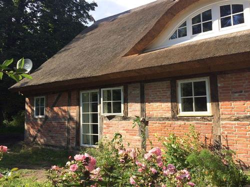 Ferienwohnung - 5 Personen -  - Wendorfer Str. - 18574 - Garz Auf Rügen