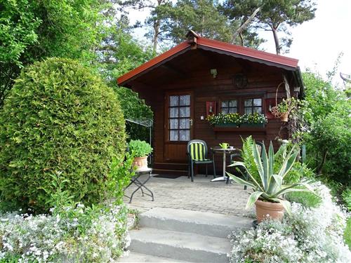 Feriehus / leilighet - 1 person -  - Strandstraße - 17459 - Loddin / Kölpinsee